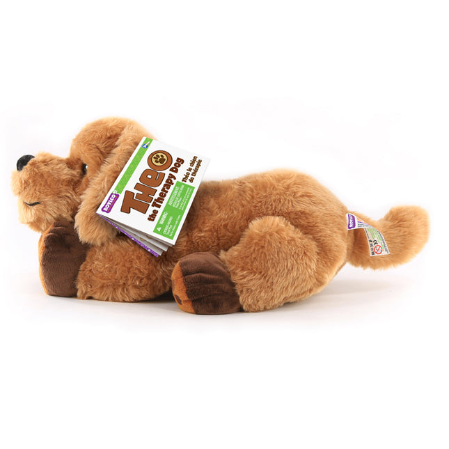 Theo the Therapy Dog