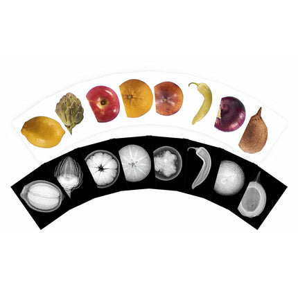 Plant X-rays & Picture Cards