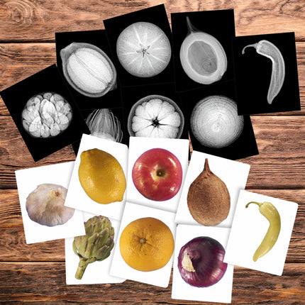 Plant X-rays & Picture Cards