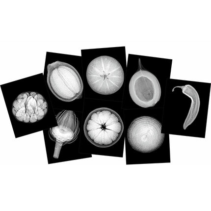 Plant X-rays & Picture Cards
