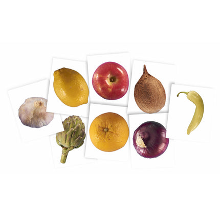 Plant X-rays & Picture Cards