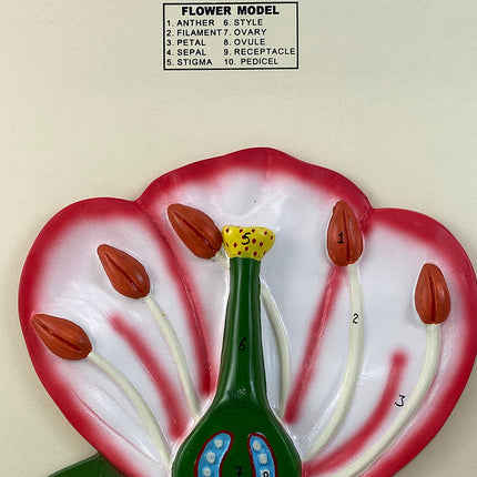 3-D Flower Model