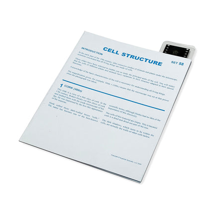 Microslide Label Microslide, Cell Structure, 35mm – ES School Supply