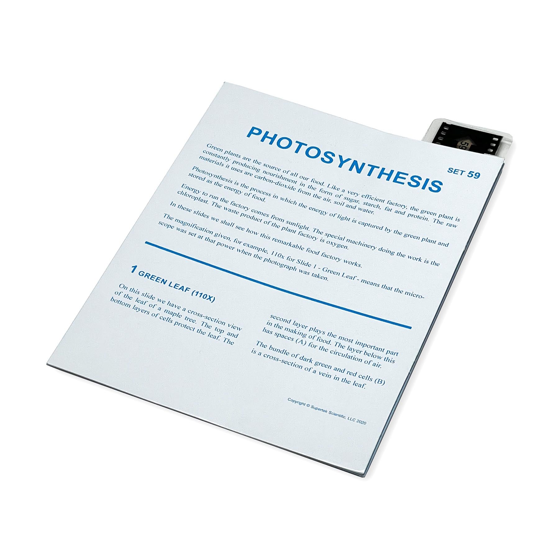 Microslide Label Microslide, Photosynthesis, 35mm – ES School Supply