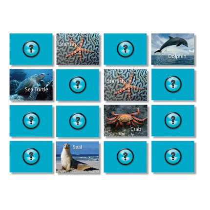 Photographic Memory Matching Game, Sea Life