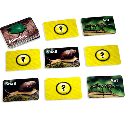 Photographic Memory Matching Game, Insects & Bugs
