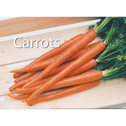 Photographic Memory Matching Game, Food