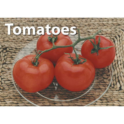 Photographic Memory Matching Game, Fruit & Vegetables