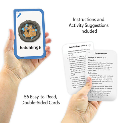 Go Fish Life Cycles Flash Cards