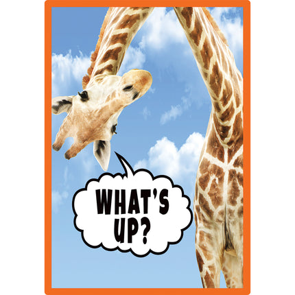 Go Wild Animals Small Poster Pack