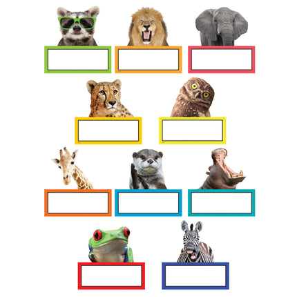 Go Wild Animals Accents