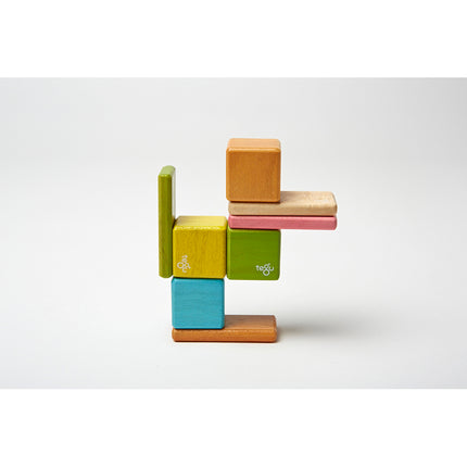 Magnetic Wooden Blocks, Tints, 8-Piece Pocket Pouch