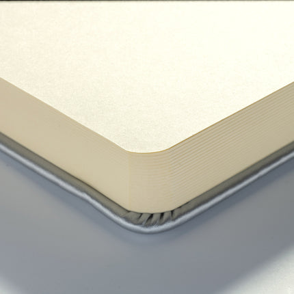 Sketchbook Shiny Silver 5.1x8.3in