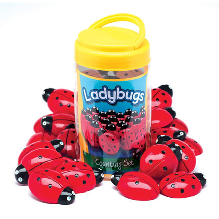 Ladybugs Counting Set, Pack of 22