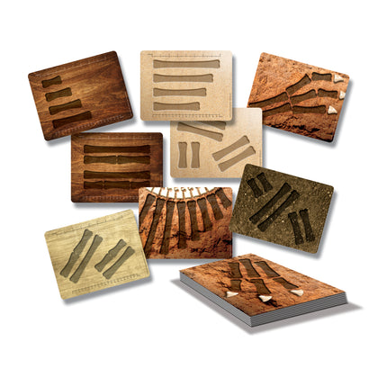 Dinosaur Bones Activity Cards