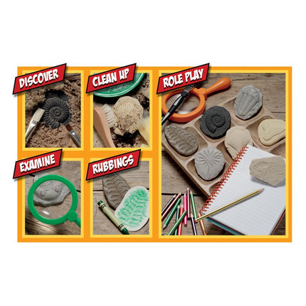 Let's Investigate Fossil Stone, Pack of 8