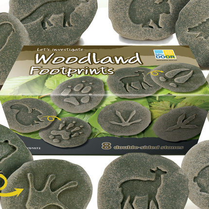 Let's Investigate - Woodland Footprint Stones