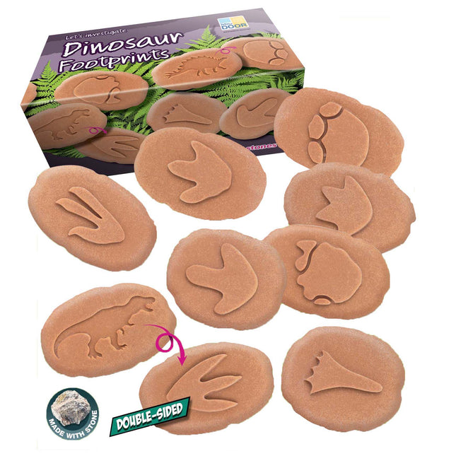 Let's Investigate - Dinosaur Footprints