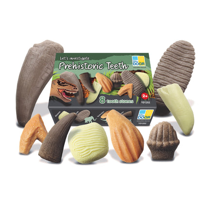Let's Investigate – Prehistoric Teeth, Set of 8