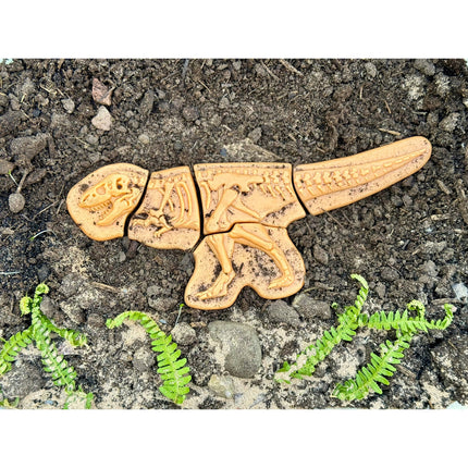 Ankylosaurus & Tyrannosaurus Rex Dig & Discover