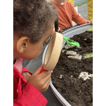 Triceratops & Spinosaurus Dig & Discover