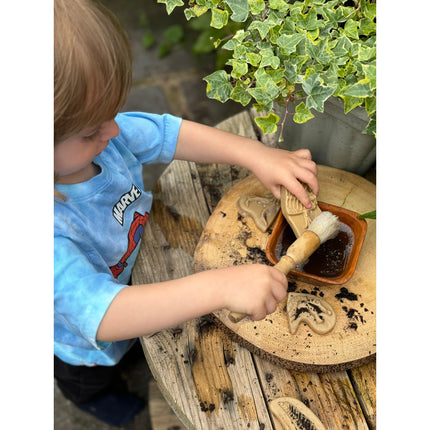 Triceratops & Spinosaurus Dig & Discover