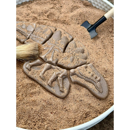 Pliosaur & Stegosaurus Dig & Discover