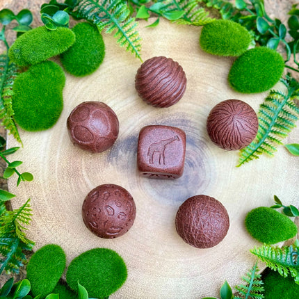 Roll Around Wild Animals