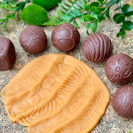 Roll Around Wild Animals