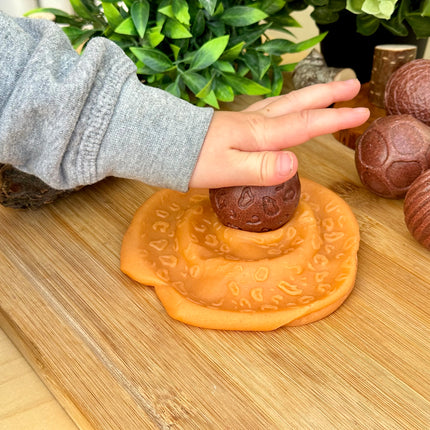 Roll Around Wild Animals