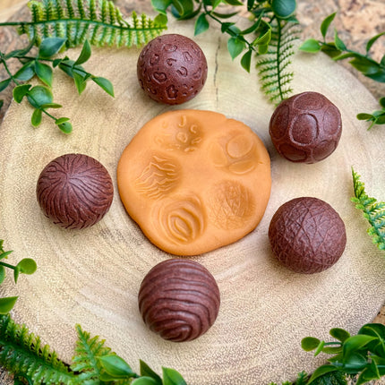 Roll Around Wild Animals