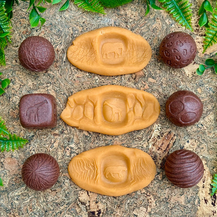 Roll Around Wild Animals