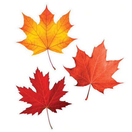 Woodland Whimsy Fall Leaves Accents