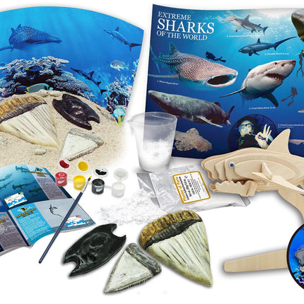 Extreme Sharks of the World