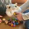 Feed Fuzzy