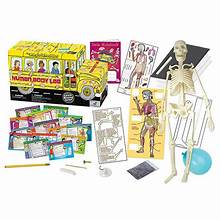 The Magic School Bus: Human Body Lab
